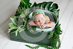 Newborn sleeping baby sleeping among monstera plants and other vegetation