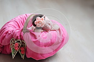 Newborn sleeping. Infant baby girl closeup lying on pink blanket in basket decorated with wooden heart