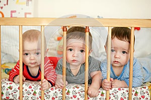 Newborn triplets are lying in the bed