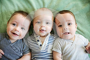 Newborn triplets are lying in the bed