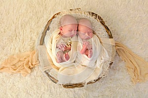 Newborn twin babies