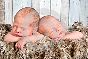 Newborn twin baby faces