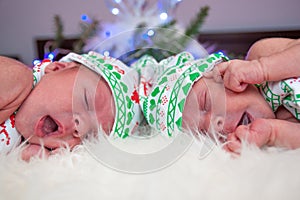 Newborn twin boys sleeping