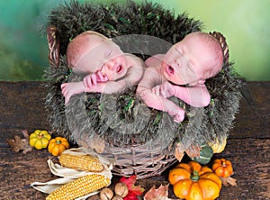 Newborn twins in autumn basket