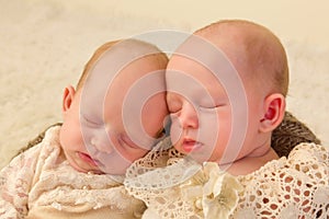 Newborn twins closeup