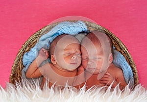 Newborn twins kids