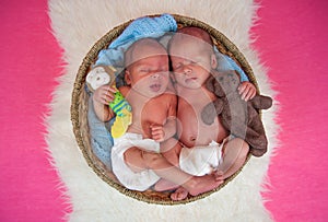 Newborn twins kids sleeps