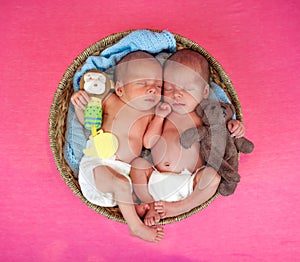 Newborn twins kids sleeps