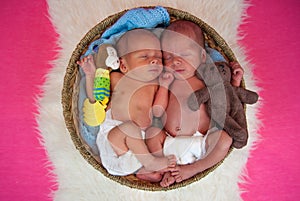 Newborn twins kids sleeps