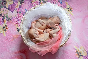 Newborn twins sleep in a basket on a pink bright background, Yin Yang, the sleep of newborn babies