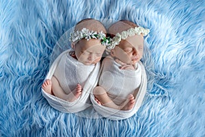 Newborn twins sleep on a blue background, the dream of newborn twins