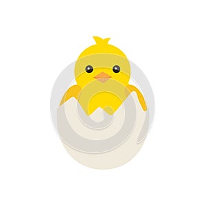 Newborn yellow baby chicken hatched from an egg, for easter design. Little yellow cartoon chick. Vector illustration