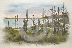 Newborough beach, digital watercolor painting