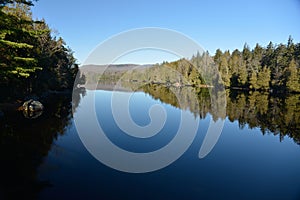 Newcomb Lake Reflection