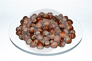 Newest and freshest crusted hazelnut pictures