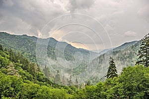 Newfound Gap in Great Smoky Mountains National Park photo