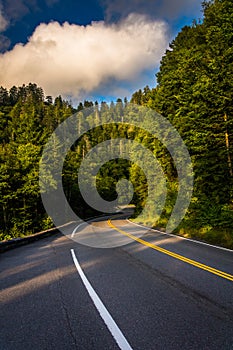 Newfound Gap Road, in Great Smoky Mountains National Park, Tennessee.