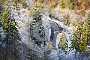 Newfound Gap Route photo