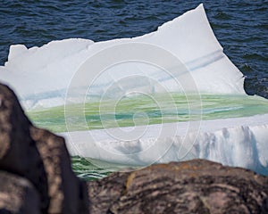 Newfoundland coastal iceberg