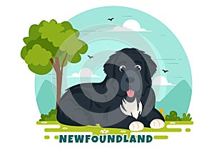 Newfoundland Dog Animals Vector Illustration with Black, Brown or Landseer Color in Flat Style Cute Cartoon Nature Background