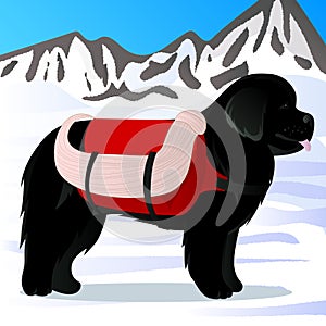 Newfoundland dog lifesaver in mountains