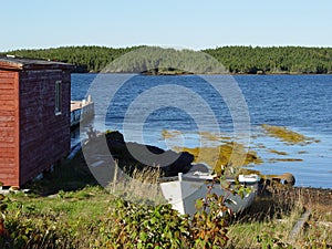 Newfoundland Landscape