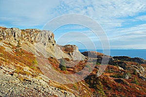 Newfoundland landscape