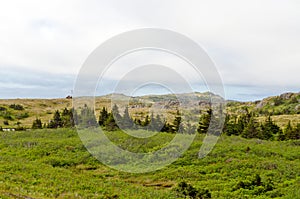 Newfoundland landscape