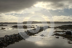 NewFoundLound along Transcanada