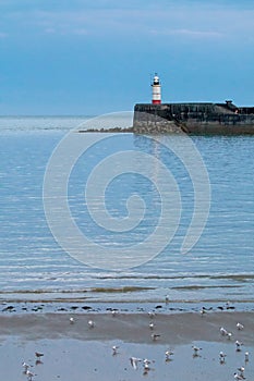 Newhaven Lighthouse at Low Tide