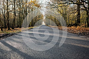 Newly asphalted rural road seen empty.