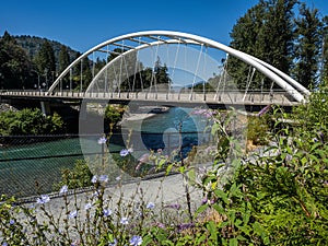 The newly built Vedder bridge over the Vedder river in Chilliwack British Columbia Canada