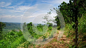 Newly cleansed gardens from weed plants. With a blue background photo