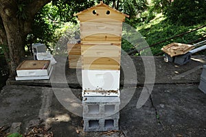 A newly-constructed flow hive at an apiary in the southern Caribbean