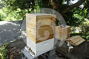 A newly-constructed modern flow hive being assembled at an apiary in the Caribbean