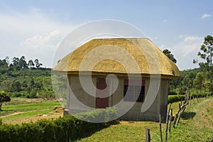 Thatched House