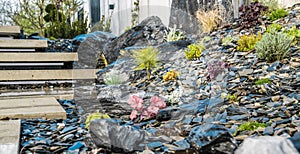 Newly Established Modern Backyard Rockery Garden