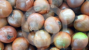 Newly harvested onions stacked on the counter in the market