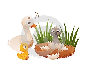 Newly hatched swan in egg. Ugly duckling fairy tale cartoon vector illustration