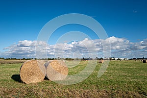 Newly made harvest bales seen on a large farm field in late autumn.