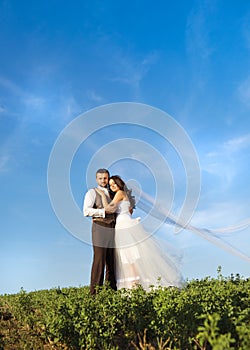Newly married couple portrait with blue sky