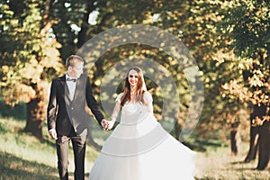 Newly married couple running and jumping in park while holding hands