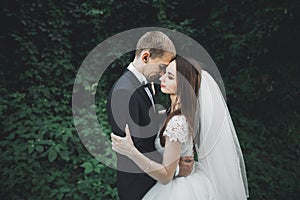 Newly married couple running and jumping in park while holding hands