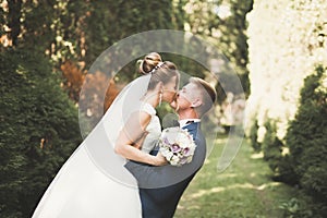 Newly married couple running and jumping in park while holding hands