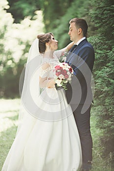 Newly married couple running and jumping in park while holding hands