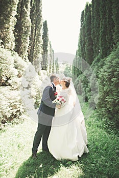 Newly married couple running and jumping in park while holding hands