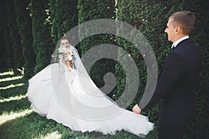 Newly married couple running and jumping in park while holding hands