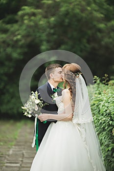 Newly married couple running and jumping in park while holding hands