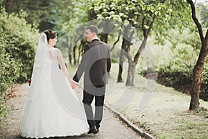 Newly married couple running and jumping in park while holding hands