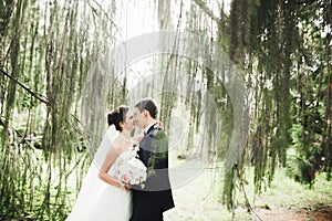 Newly married couple running and jumping in park while holding hands